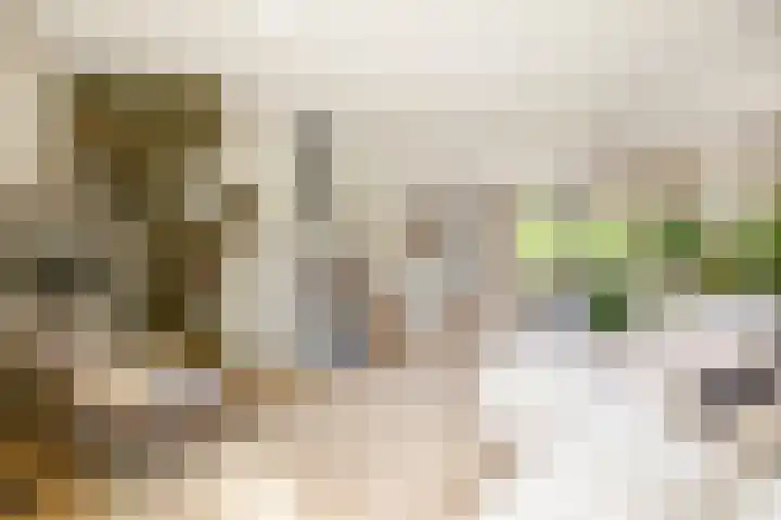 Ketenbosweg 6 Gorssel thumbnail 15