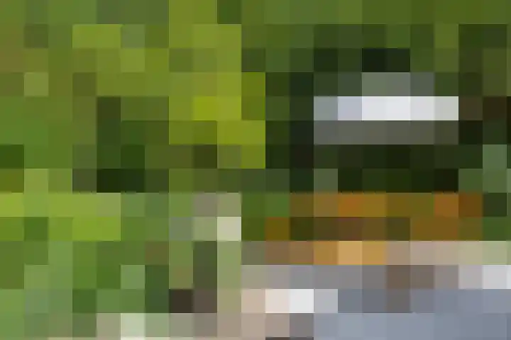 Ketenbosweg 6 Gorssel thumbnail 19