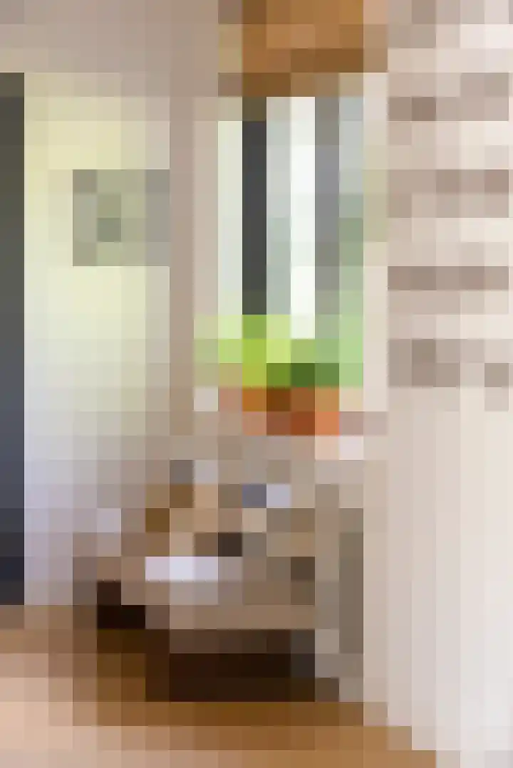 Ketenbosweg 6 Gorssel thumbnail 23