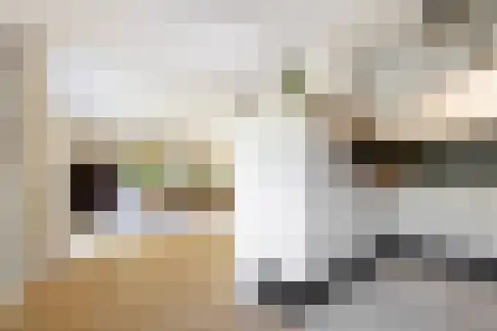 Ketenbosweg 6 Gorssel thumbnail 24