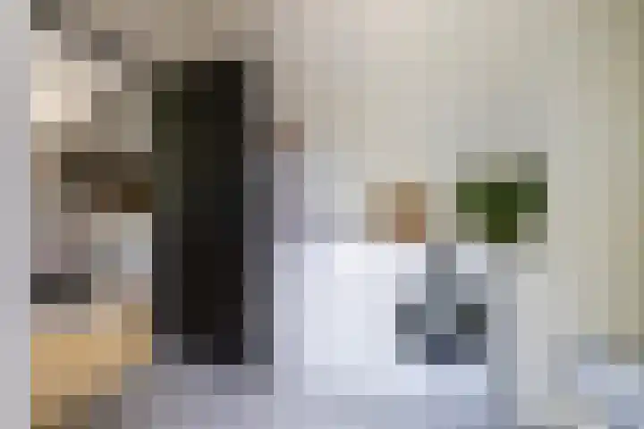Ketenbosweg 6 Gorssel thumbnail 26