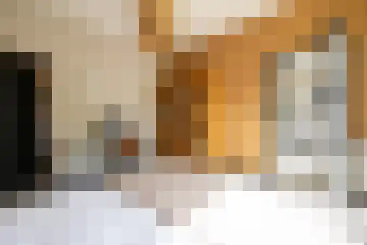 Ketenbosweg 6 Gorssel thumbnail 33