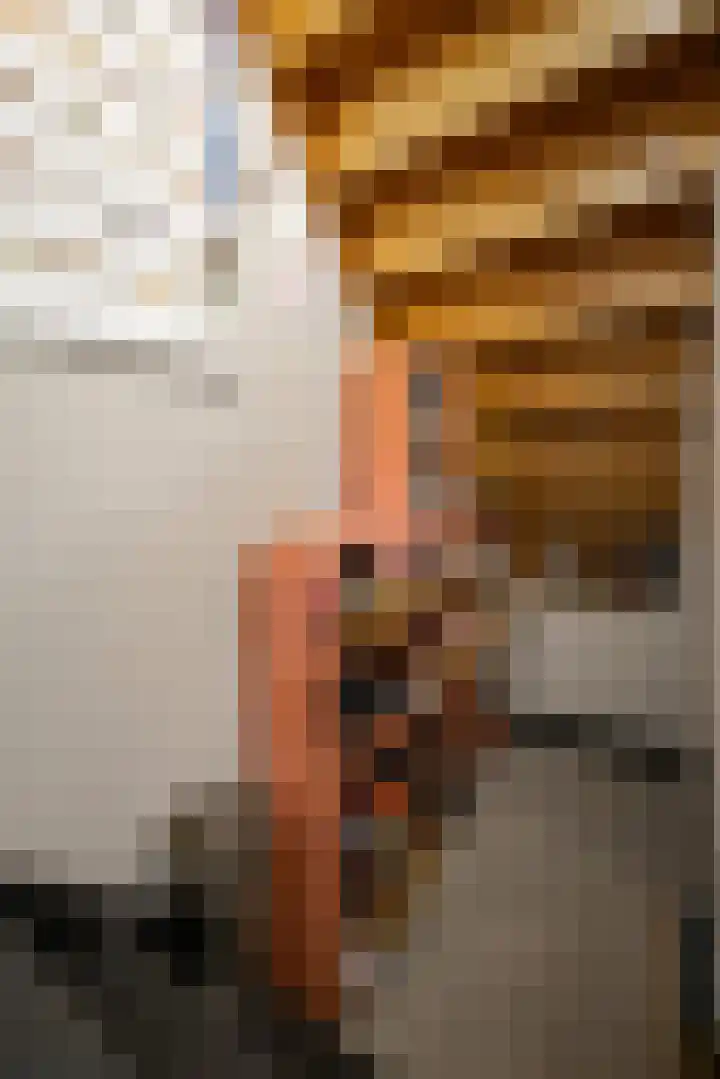 Ketenbosweg 6 Gorssel thumbnail 38
