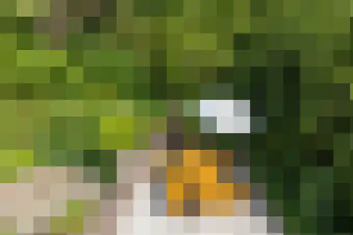 Ketenbosweg 6 Gorssel thumbnail 46