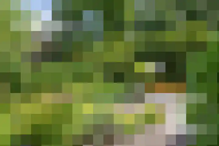 Ketenbosweg 6 Gorssel thumbnail 5
