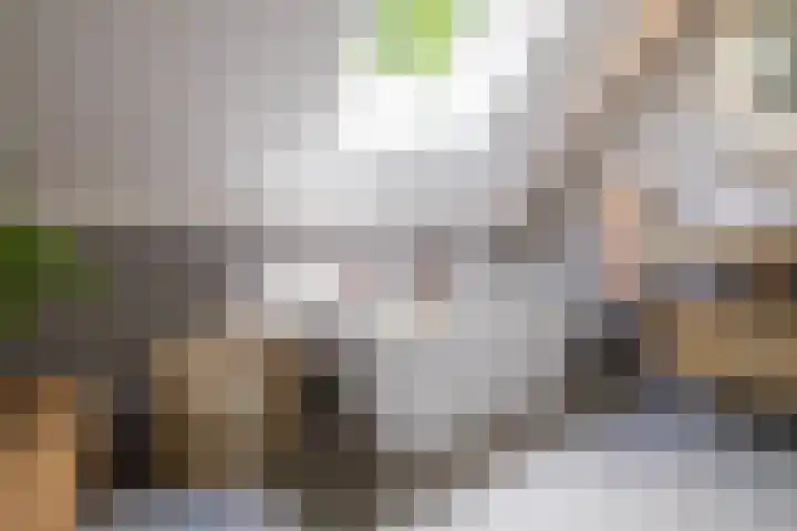 Ketenbosweg 6 Gorssel thumbnail 51