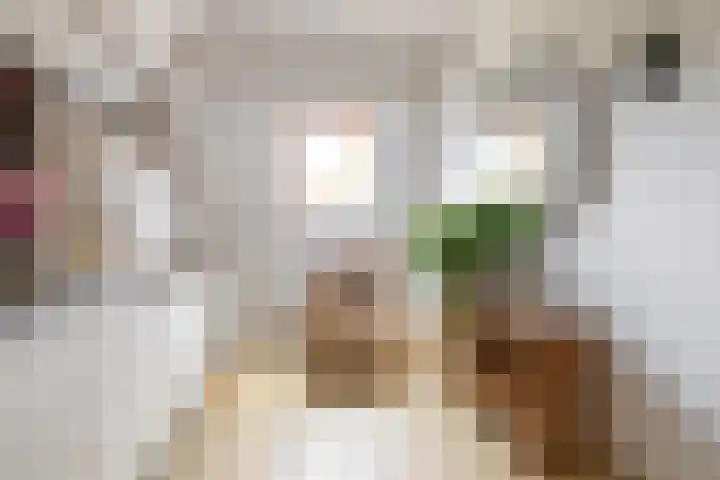 Ketenbosweg 6 Gorssel thumbnail 57