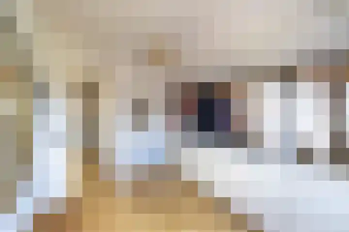 Ketenbosweg 6 Gorssel thumbnail 58