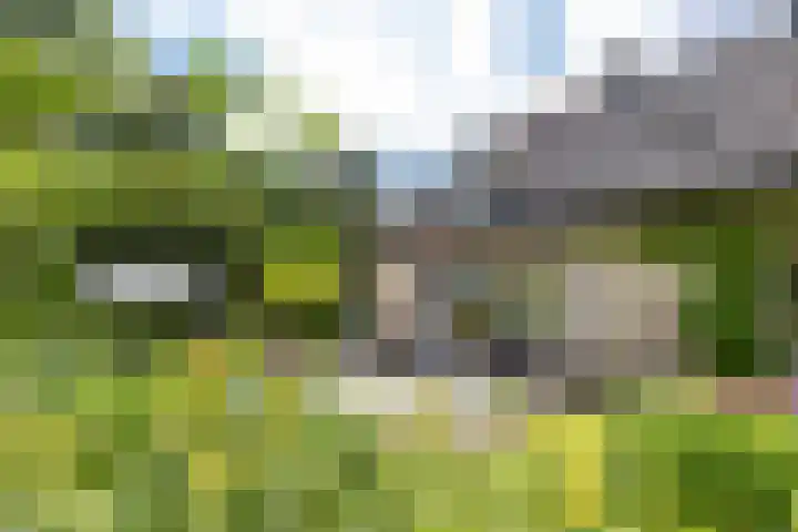 Ketenbosweg 6 Gorssel thumbnail 63