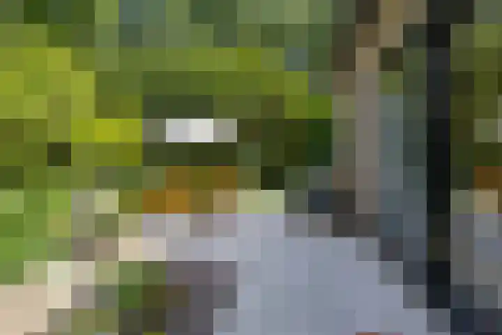 Ketenbosweg 6 Gorssel thumbnail 65
