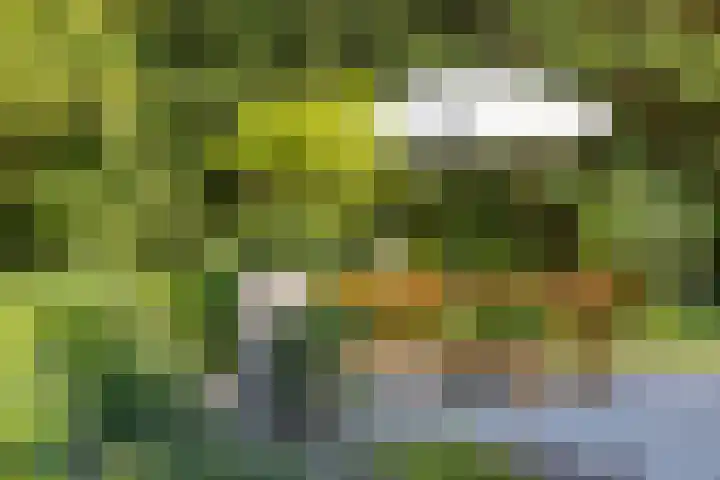 Ketenbosweg 6 Gorssel thumbnail 66