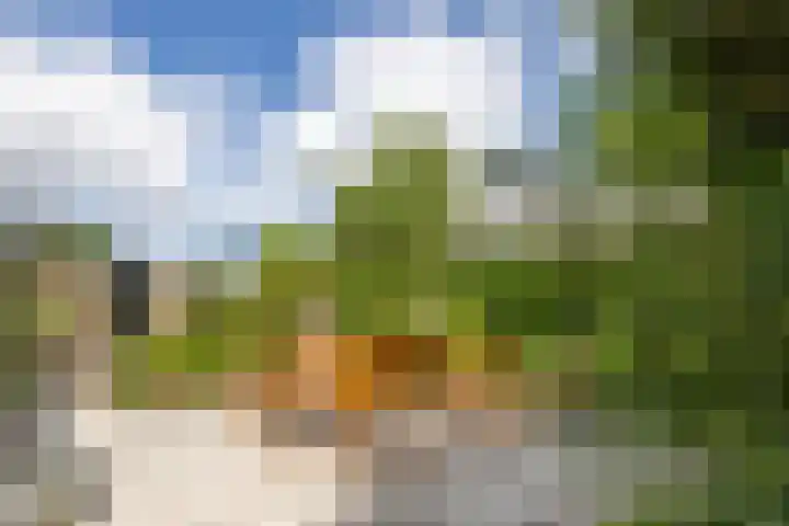Ketenbosweg 6 Gorssel thumbnail 67