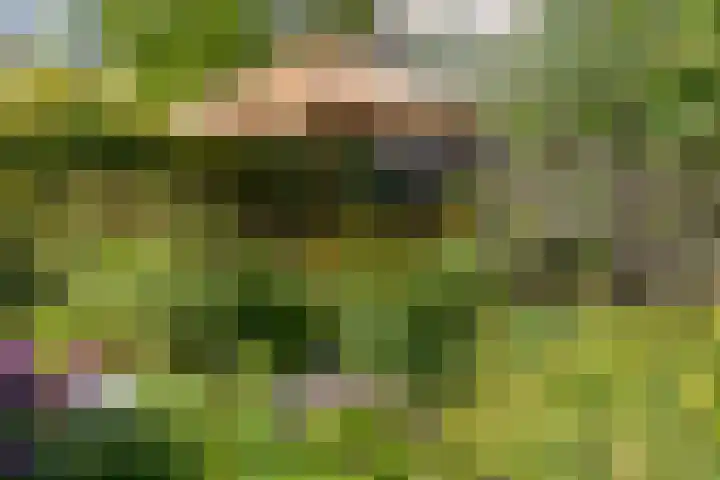 Ketenbosweg 6 Gorssel thumbnail 72