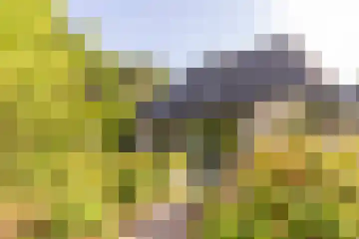 Ketenbosweg 6 Gorssel thumbnail 73