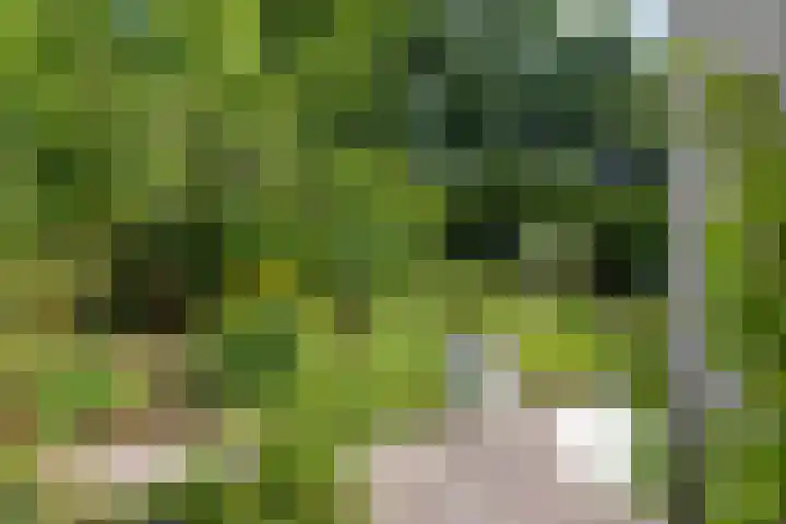 Ketenbosweg 6 Gorssel thumbnail 74