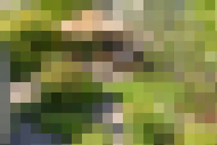 Ketenbosweg 6 Gorssel thumbnail 75