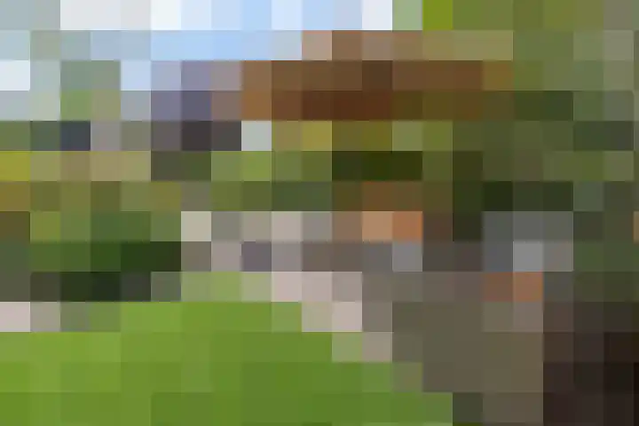 Ketenbosweg 6 Gorssel thumbnail 77