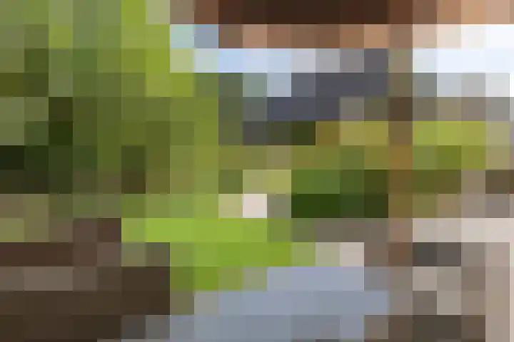Ketenbosweg 6 Gorssel thumbnail 78