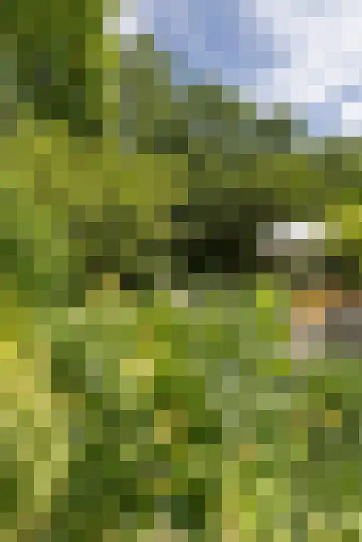 Ketenbosweg 6 Gorssel thumbnail 79