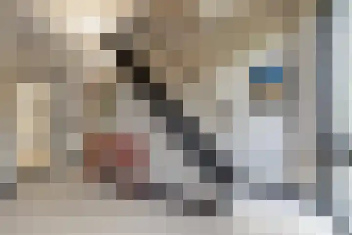 Ketenbosweg 6 Gorssel thumbnail 8
