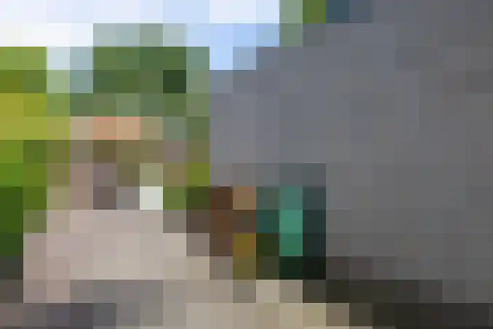 Ketenbosweg 6 Gorssel thumbnail 80