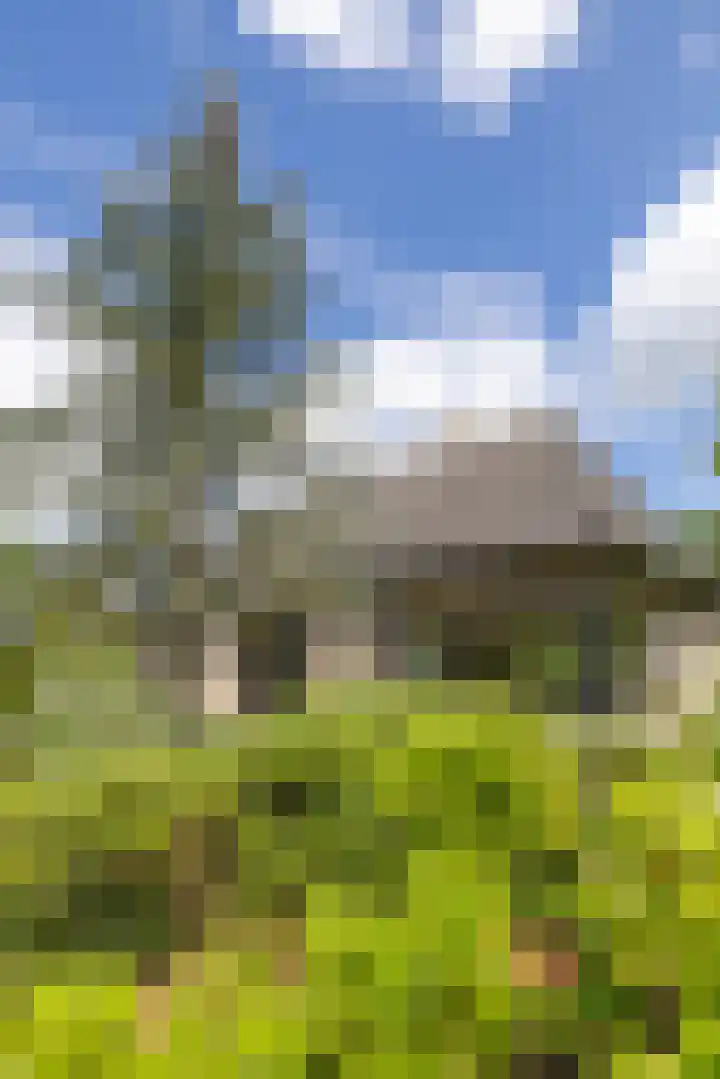 Ketenbosweg 6 Gorssel thumbnail 83