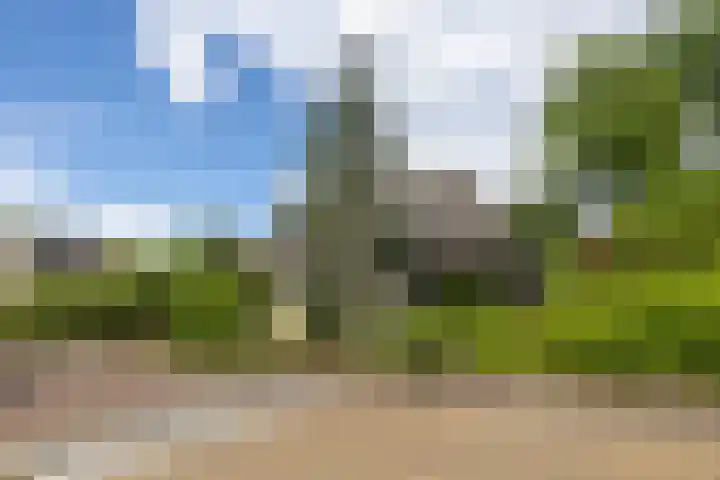 Ketenbosweg 6 Gorssel thumbnail 86