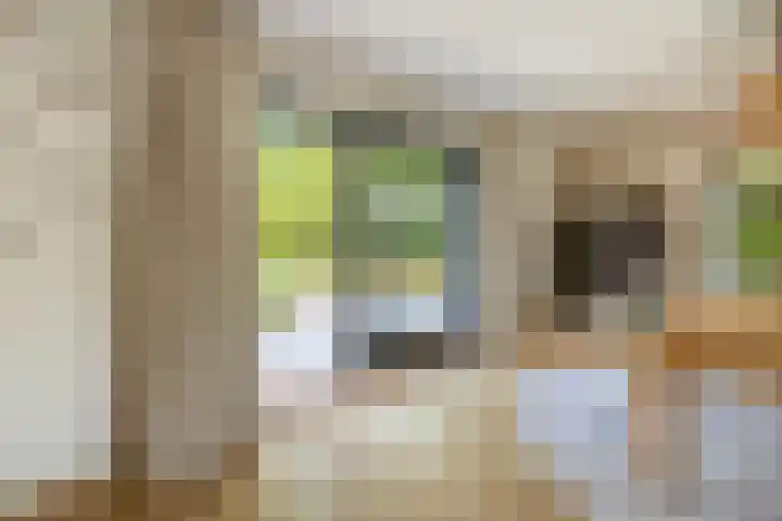 Ketenbosweg 6 Gorssel thumbnail 9