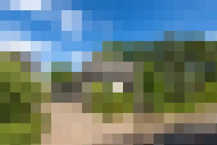 Ketenbosweg 6 Gorssel thumbnail 91