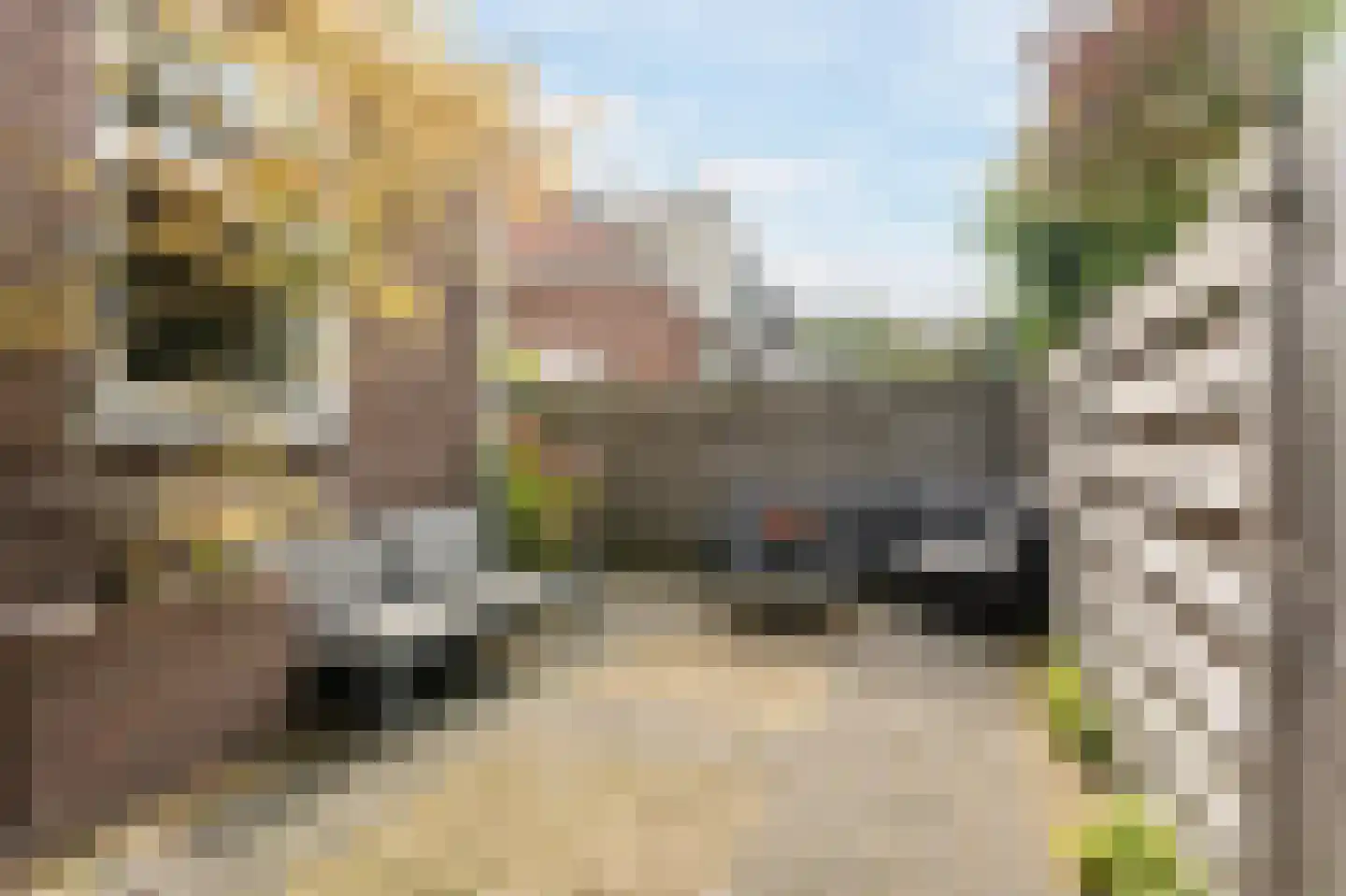 Ketensedijk 25 Capelle aan den IJssel thumbnail 47