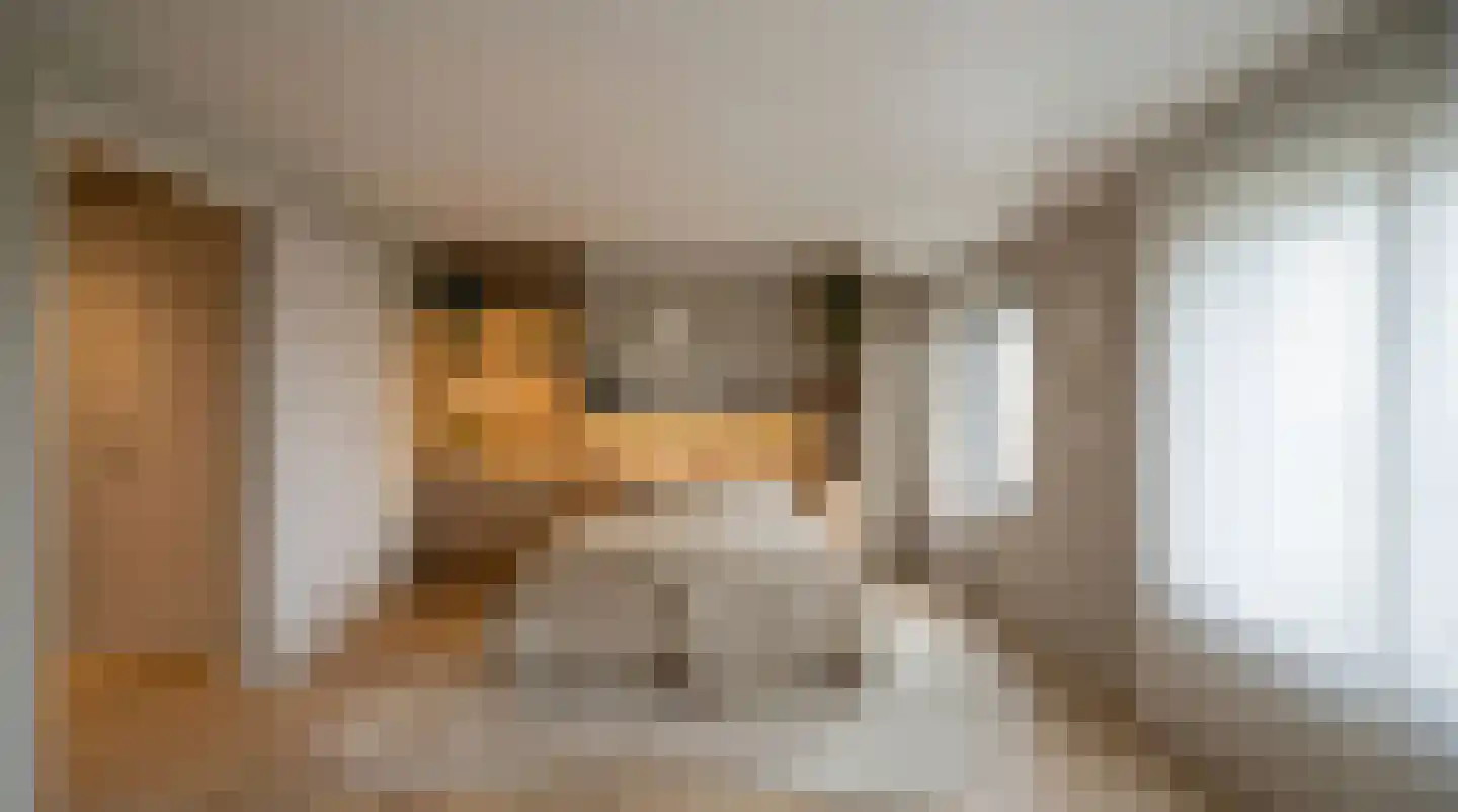 Ketensezoom 101 Capelle aan den IJssel thumbnail 42