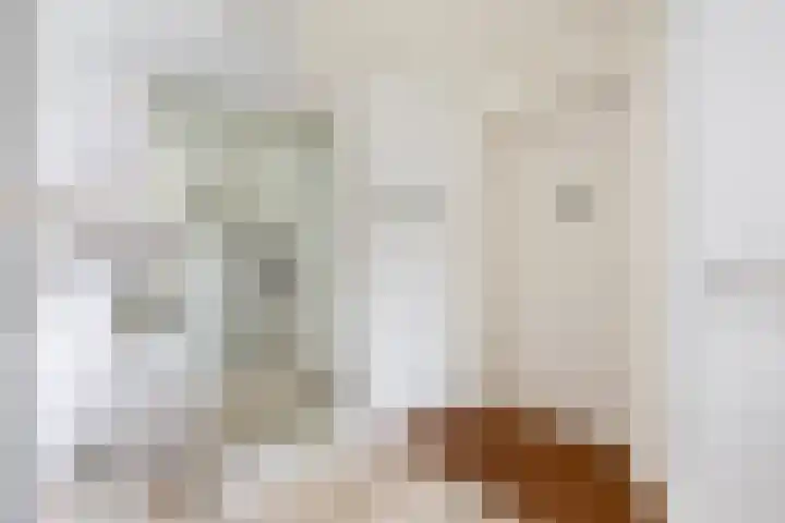 Ketensezoom 11 Capelle aan den IJssel thumbnail 11