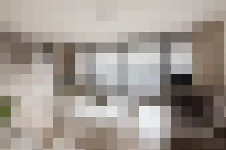 Ketensezoom 11 Capelle aan den IJssel thumbnail 17