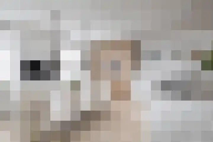 Ketensezoom 11 Capelle aan den IJssel thumbnail 20