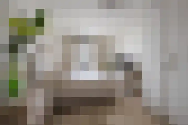 Ketensezoom 11 Capelle aan den IJssel thumbnail 30