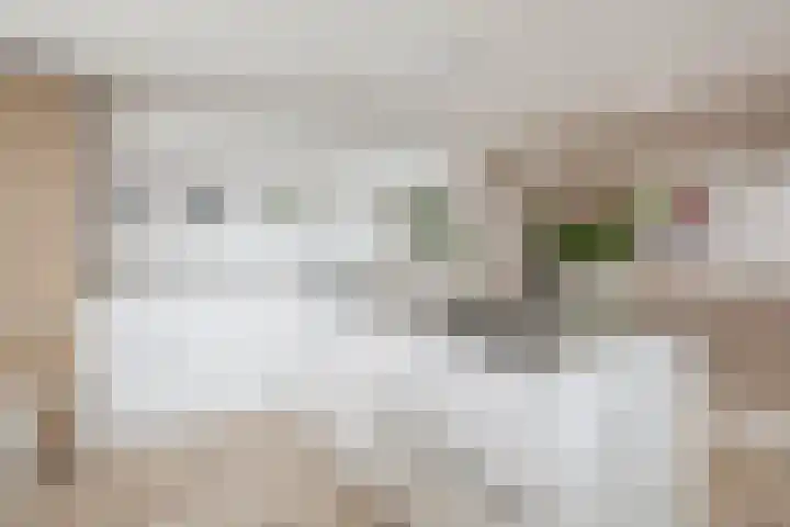 Ketensezoom 11 Capelle aan den IJssel thumbnail 4