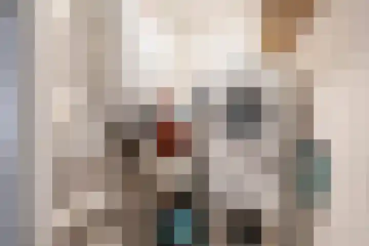 Ketensezoom 11 Capelle aan den IJssel thumbnail 41