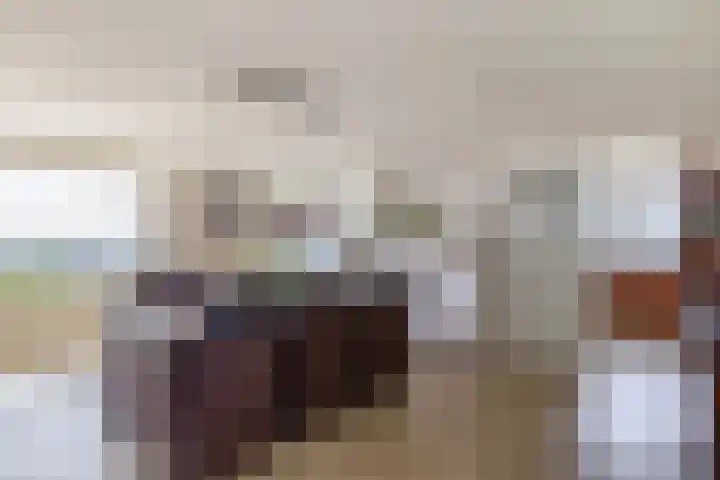 Ketensezoom 46 Capelle aan den IJssel thumbnail 26
