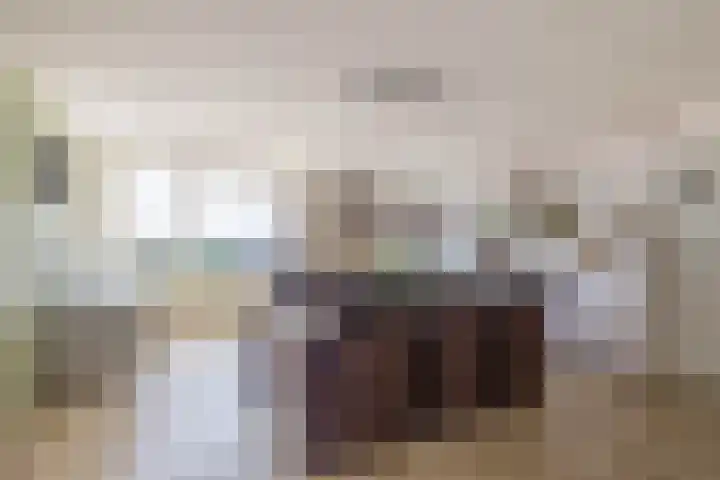 Ketensezoom 46 Capelle aan den IJssel thumbnail 27