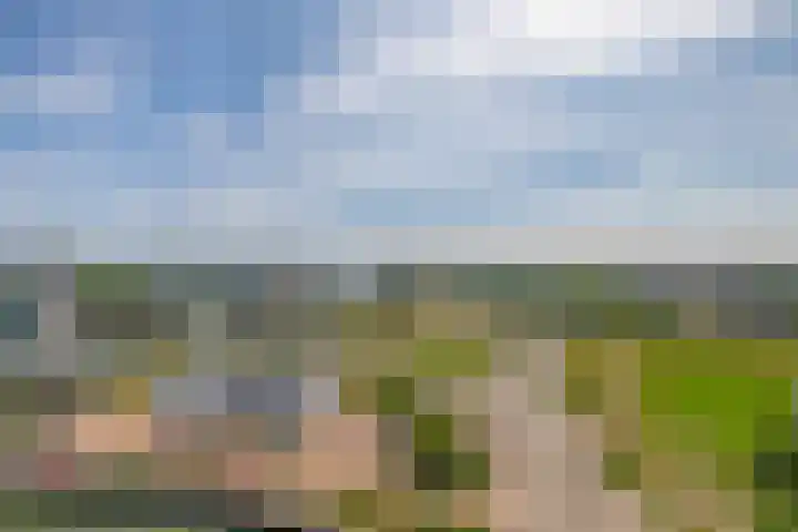 Ketensezoom 46 Capelle aan den IJssel thumbnail 43
