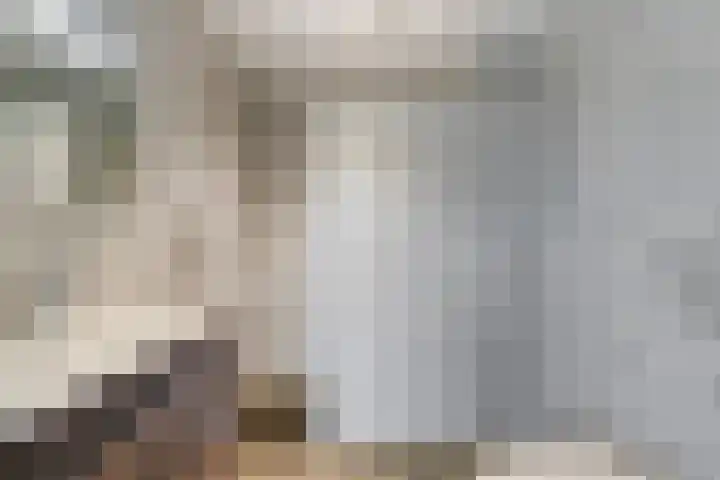 Ketensezoom 5 Capelle aan den IJssel thumbnail 15