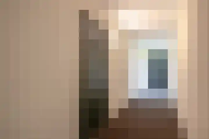 Ketensezoom 82 Capelle aan den IJssel thumbnail 13