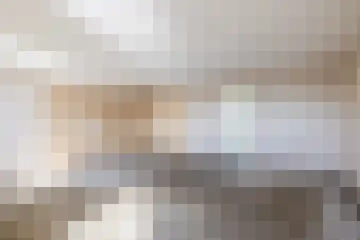 Ketensezoom 82 Capelle aan den IJssel thumbnail 26