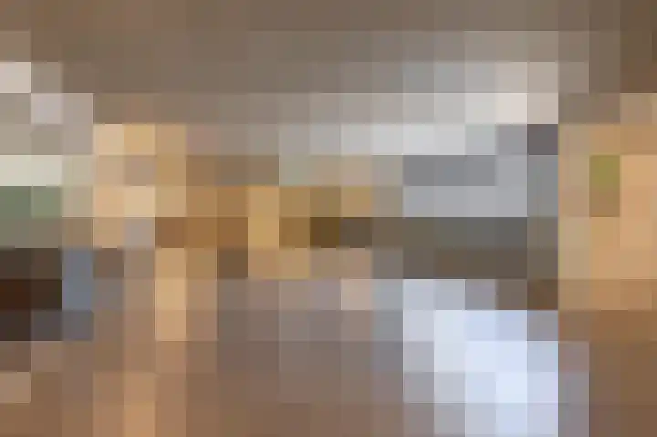 Ketensezoom 82 Capelle aan den IJssel thumbnail 30