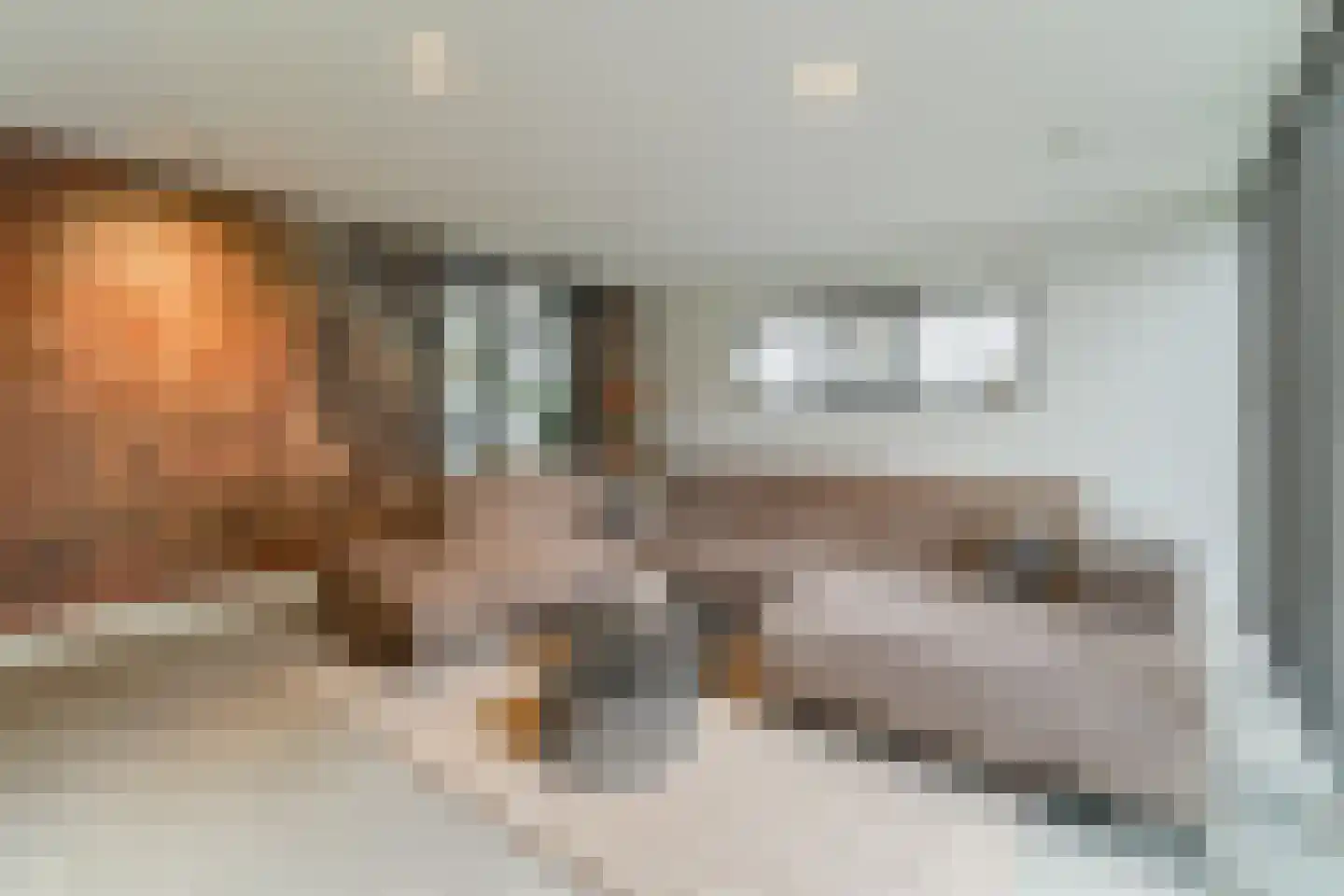 Keteweid 9 Blokker thumbnail 11