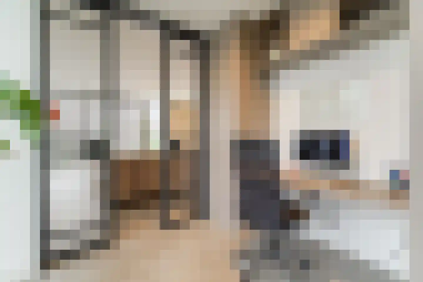 Keteweid 9 Blokker thumbnail 12