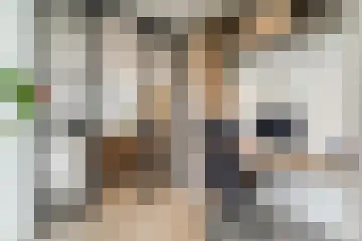 Keteweid 9 Blokker thumbnail 12