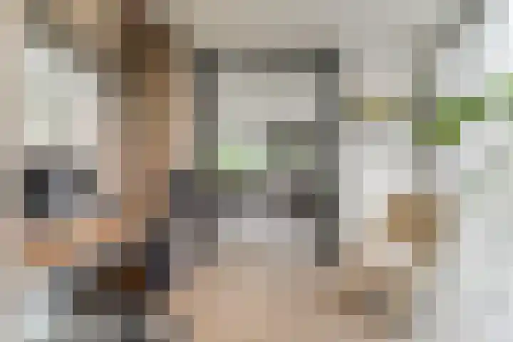 Keteweid 9 Blokker thumbnail 13