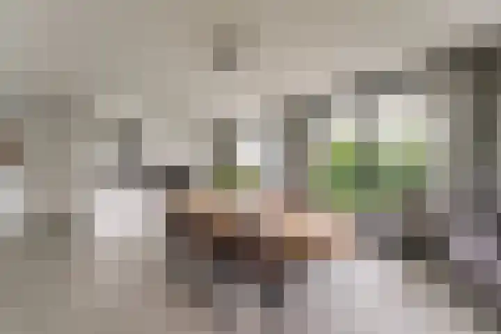 Keteweid 9 Blokker thumbnail 16