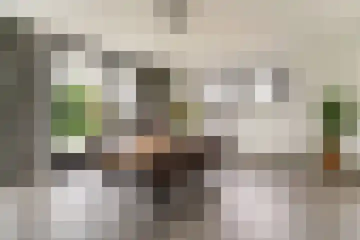 Keteweid 9 Blokker thumbnail 17